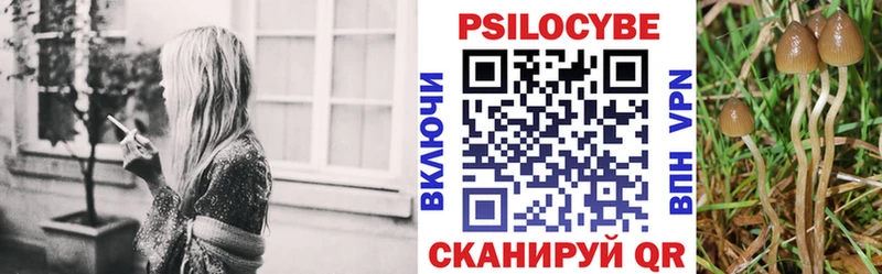 Псилоцибиновые грибы Magic Shrooms  Красногорск 