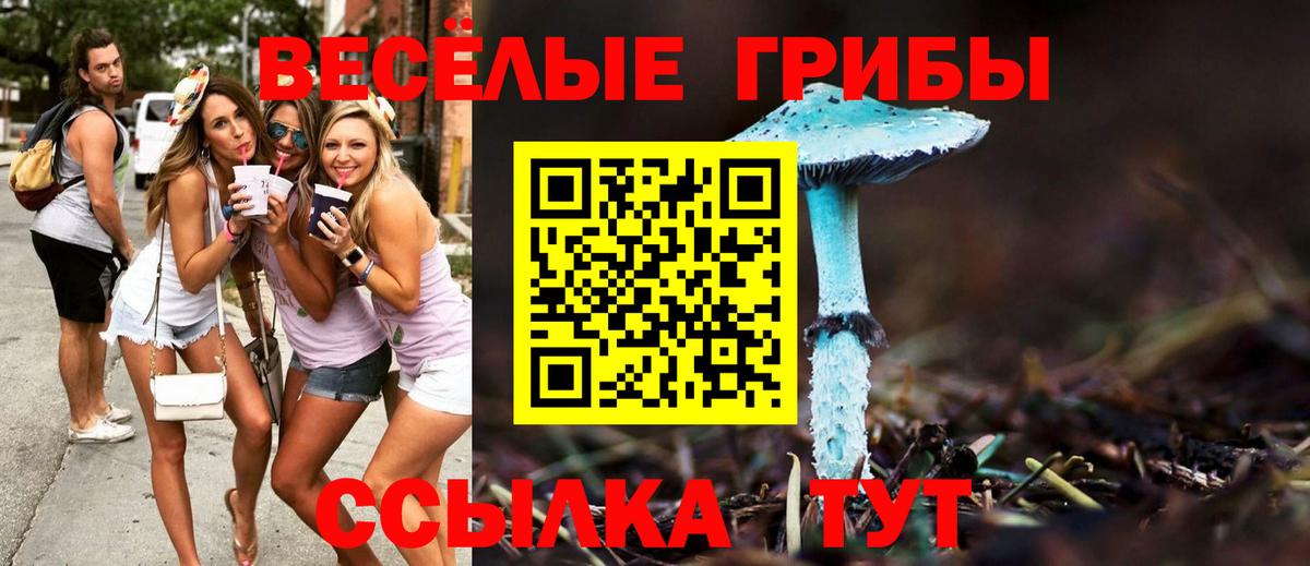 Псилоцибиновые грибы Cubensis  Вход с VPN  Красногорск 